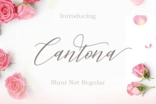 Cantona: A Handwritten Calligraphy Font