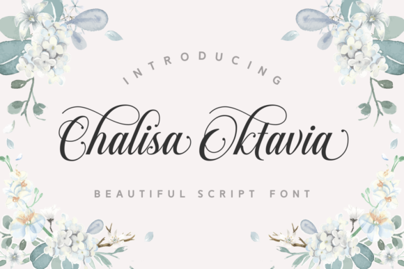 Chalisa Oktavia: A Script Font Built for Editorial Readability and Mood