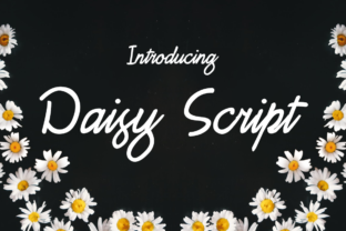 Daisy Script: A Handwritten Font with Editorial Charm