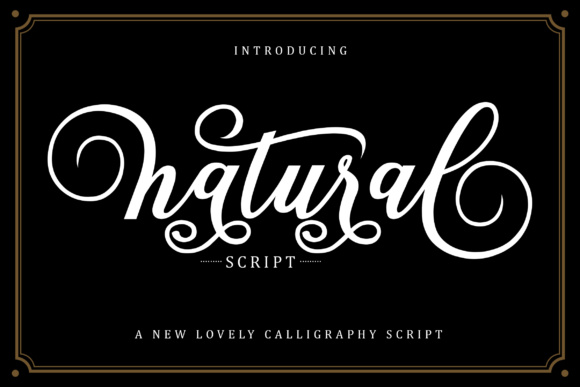 Natural Script: A Web Designer's Review of This Elegant Display Font