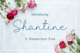 Shantine: A Font for Polished Branding